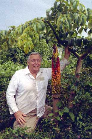 John Banta with Amorphophallus paeoniifolius